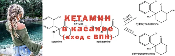 мяу мяу кристалл Гусь-Хрустальный