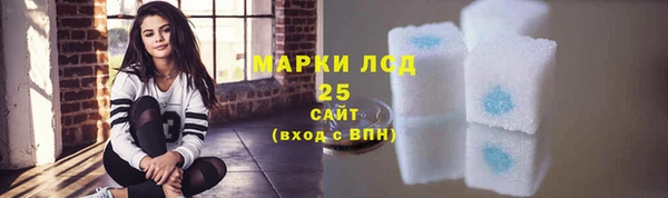 ECSTASY Гусев
