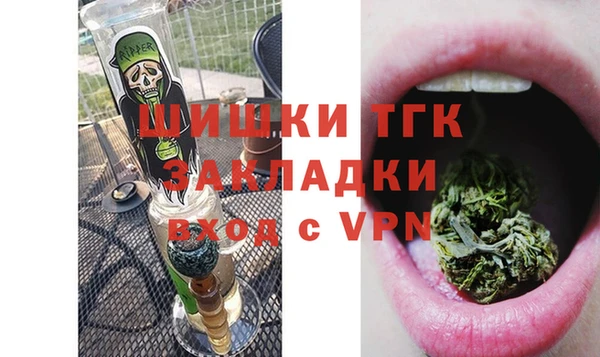 ECSTASY Гусев