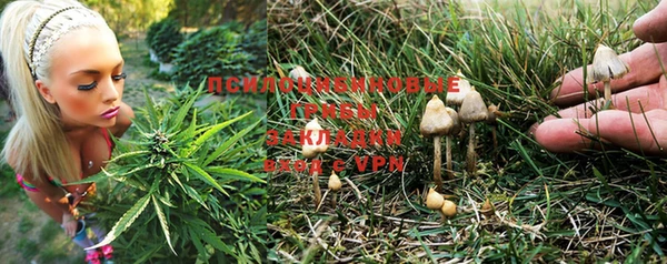 мяу мяу кристалл Гусь-Хрустальный