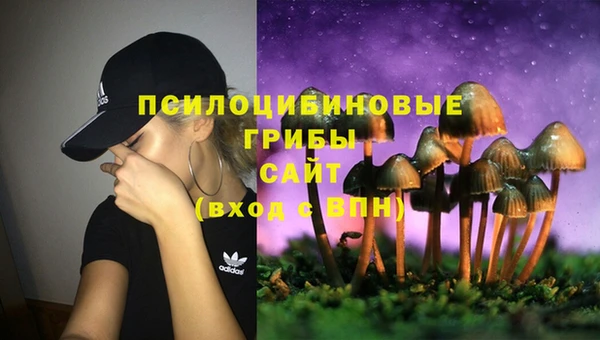 ECSTASY Гусев