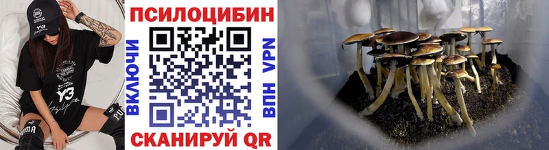 Купить где  Калуга  Галлюциногенные грибы Cubensis 